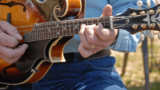 Mandolin chorus