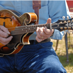 Mandolin chorus